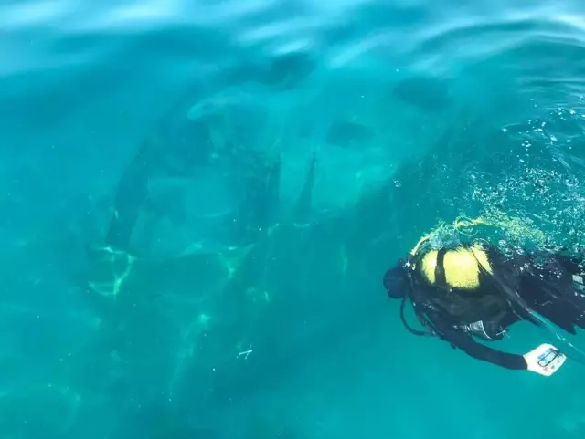 Van Gölü'ndeki Rus batıkları dalış turizmine kazandırılacak