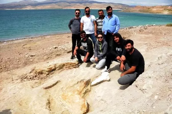 Baraj kıyısından 280 fosil çıktı Baraj kıyısından 280 fosil çıktı
