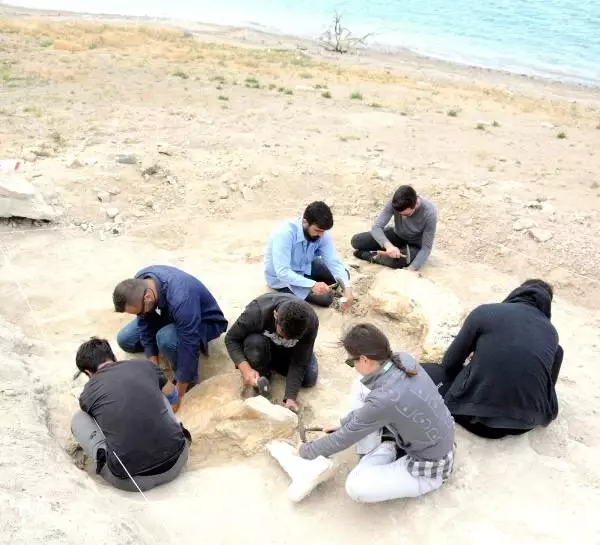 Baraj kıyısından 280 fosil çıktı Baraj kıyısından 280 fosil çıktı