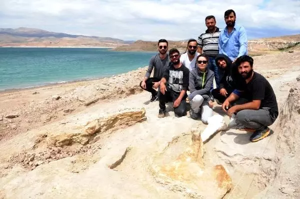 Baraj kıyısından 280 fosil çıktı Baraj kıyısından 280 fosil çıktı