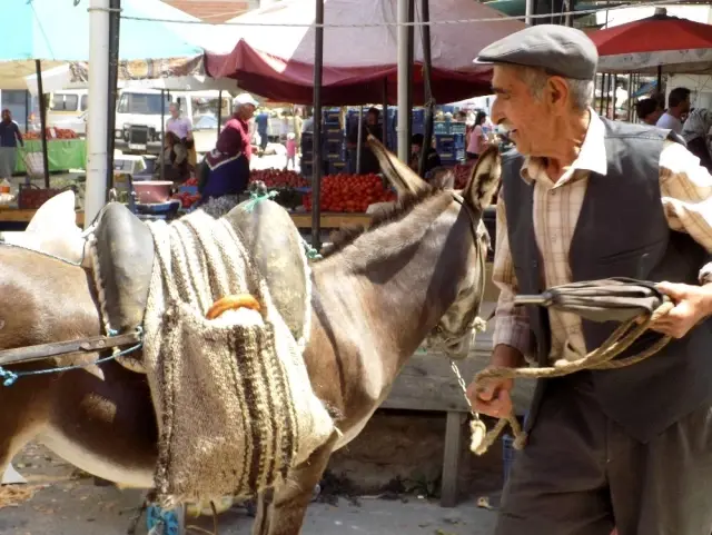 Film sahnesi değil gerçek bir yaşam Film sahnesi değil gerçek bir yaşam