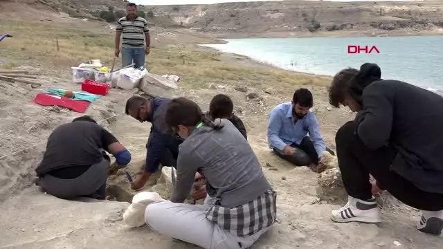 KAYSERİ BARAJ KIYISINDAN 280 FOSİL ÇIKTI KAYSERİ BARAJ KIYISINDAN 280 FOSİL ÇIKTI