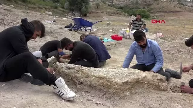 KAYSERİ BARAJ KIYISINDAN 280 FOSİL ÇIKTI KAYSERİ BARAJ KIYISINDAN 280 FOSİL ÇIKTI