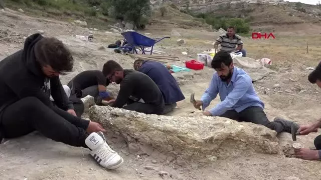 KAYSERİ BARAJ KIYISINDAN 280 FOSİL ÇIKTI KAYSERİ BARAJ KIYISINDAN 280 FOSİL ÇIKTI