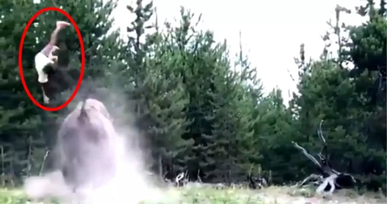 Parktaki bizonun saldırısına uğrayan 9 yaşındaki çocuk metrelerce havaya uçtu