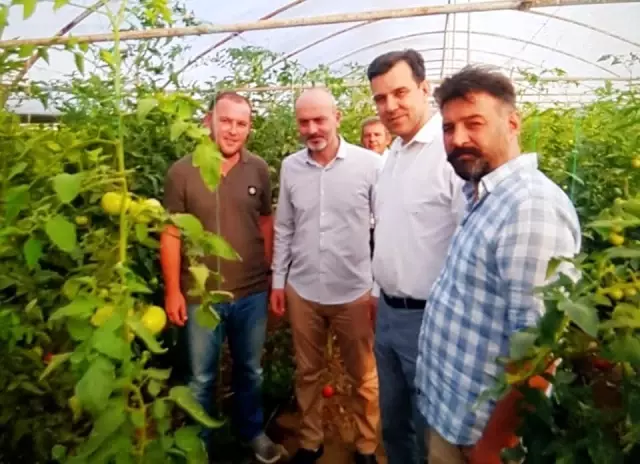 Seracılığa rağbet artıyor Seracılığa rağbet artıyor
