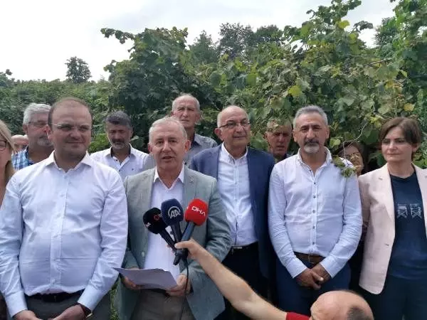 CHP'li Bilge: Fındık fiyatı en az 20 lira açıklanmalı
