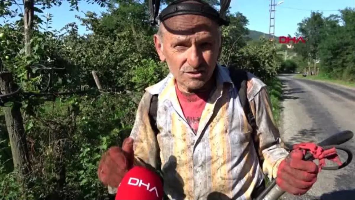 Fındık alım fiyatı, üreticiyi memnun etti