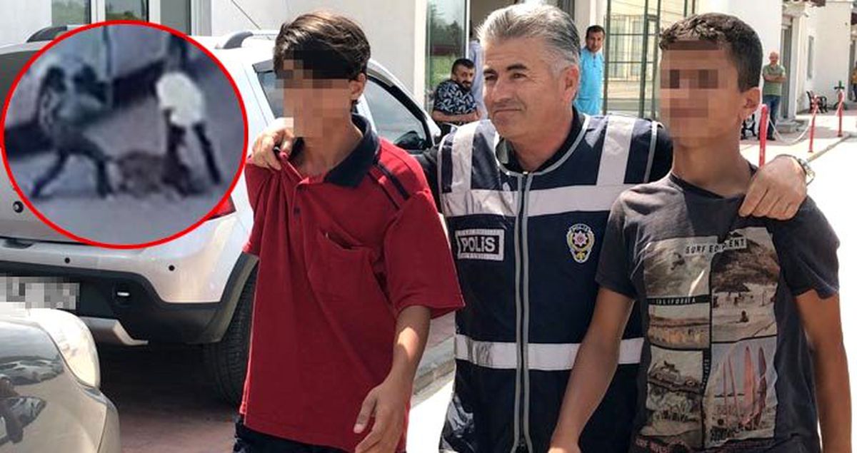Şarkıcı Haluk Levent, hamile kediyi köpeğe parçalatan çocuklara sahip çıkacak