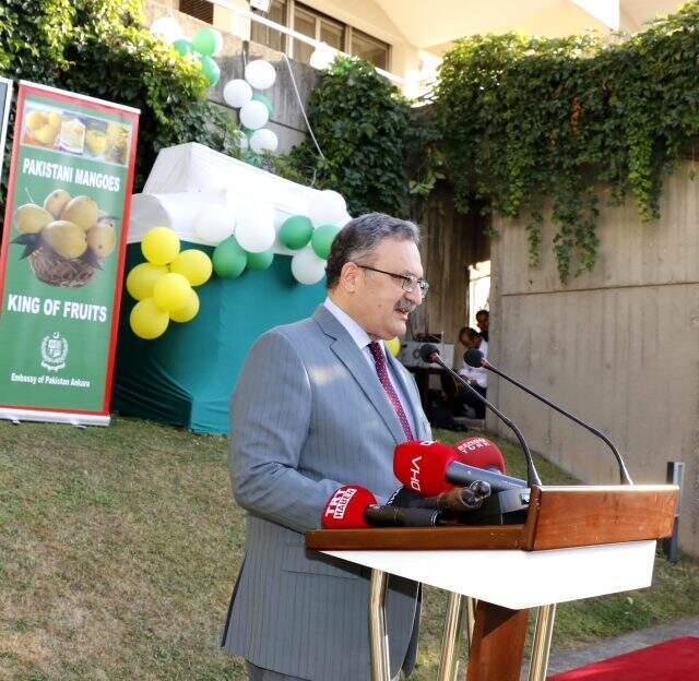 Ankara'daki, Pakistan Mango ve Biryani Festivali'ne çok sayıda davetli katıldı