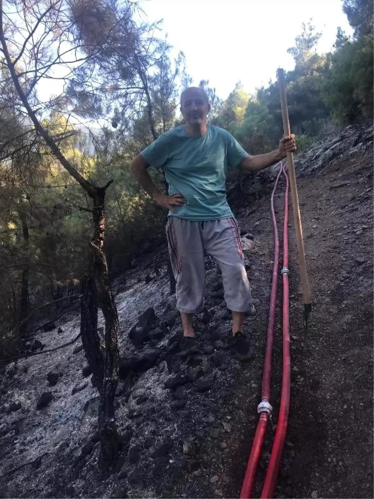 Çorum'da orman yangını