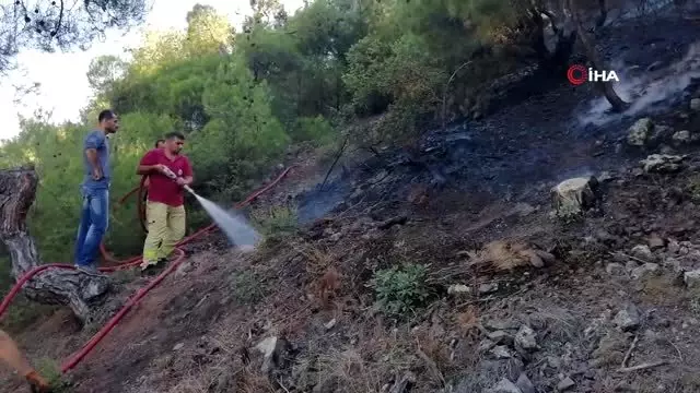 Çorum'da orman yangını: 2 hektar alan kül oldu Çorum'da orman yangını: 2 hektar alan kül oldu