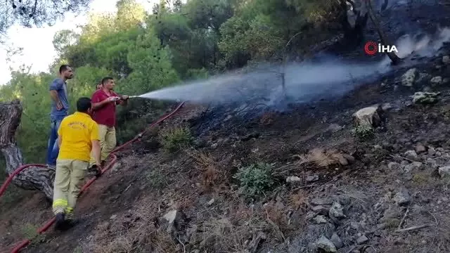 Çorum'da orman yangını: 2 hektar alan kül oldu Çorum'da orman yangını: 2 hektar alan kül oldu