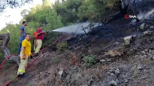 Çorum'da orman yangını: 2 hektar alan kül oldu Çorum'da orman yangını: 2 hektar alan kül oldu