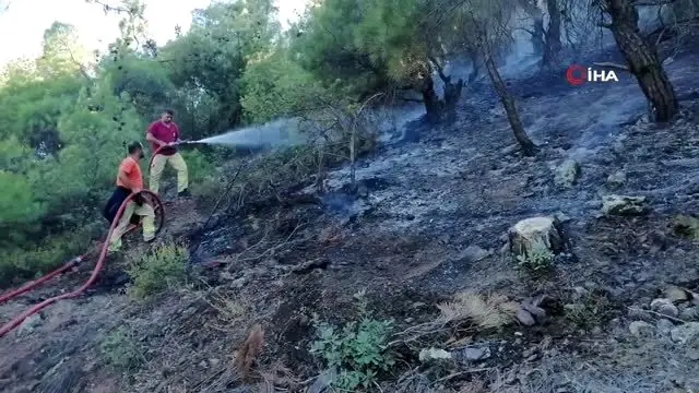 Çorum'da orman yangını: 2 hektar alan kül oldu Çorum'da orman yangını: 2 hektar alan kül oldu