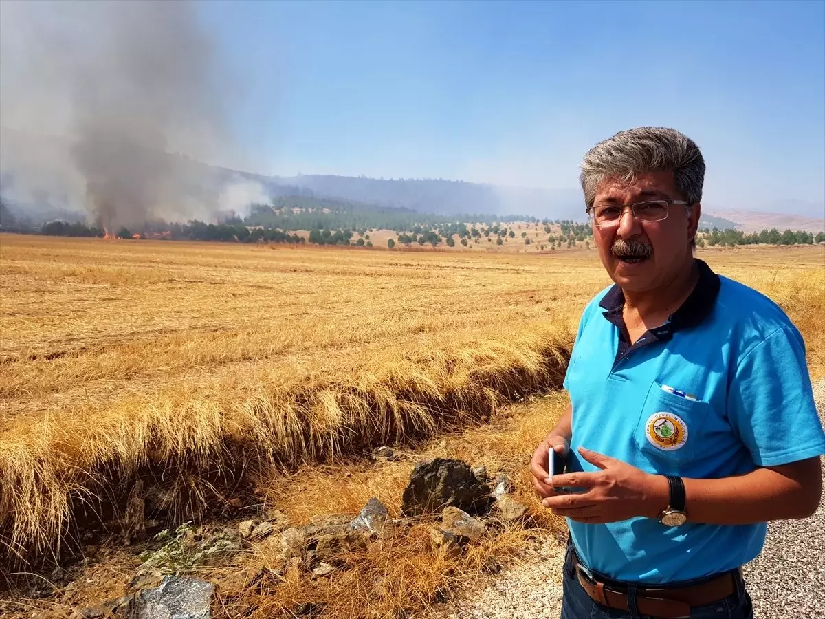 Gaziantep'te orman yangını