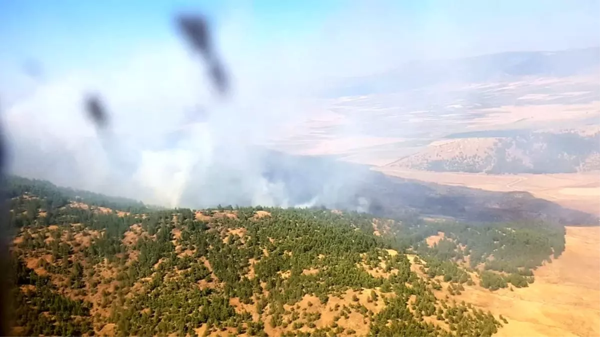 Gaziantep'te orman yangını