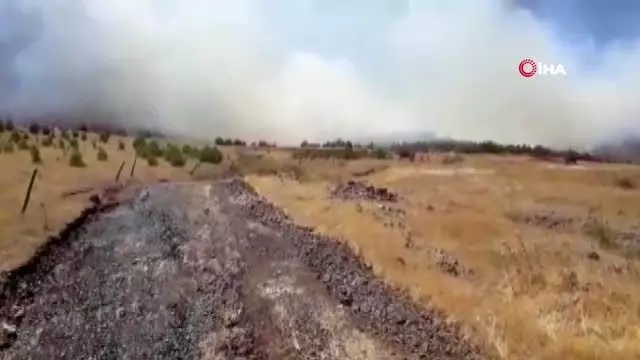 Gaziantep'te orman yangını - Haberler