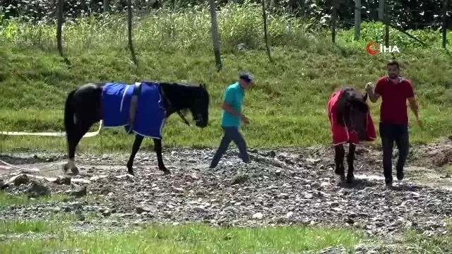 Çarşamba'da Geleneksel Rahvan At Yarışları