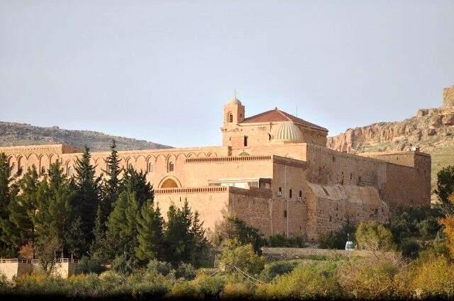 Süryanilere ait arazilerde çıkan yangında yüzlerce ağaç ve üzüm bağı kül oldu