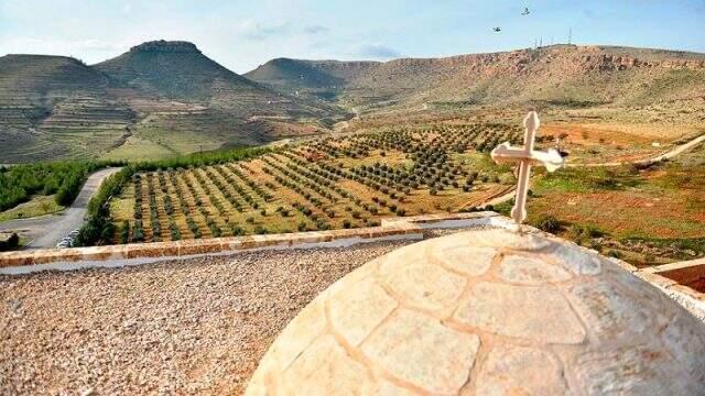 Süryanilere ait arazilerde çıkan yangında yüzlerce ağaç ve üzüm bağı kül oldu