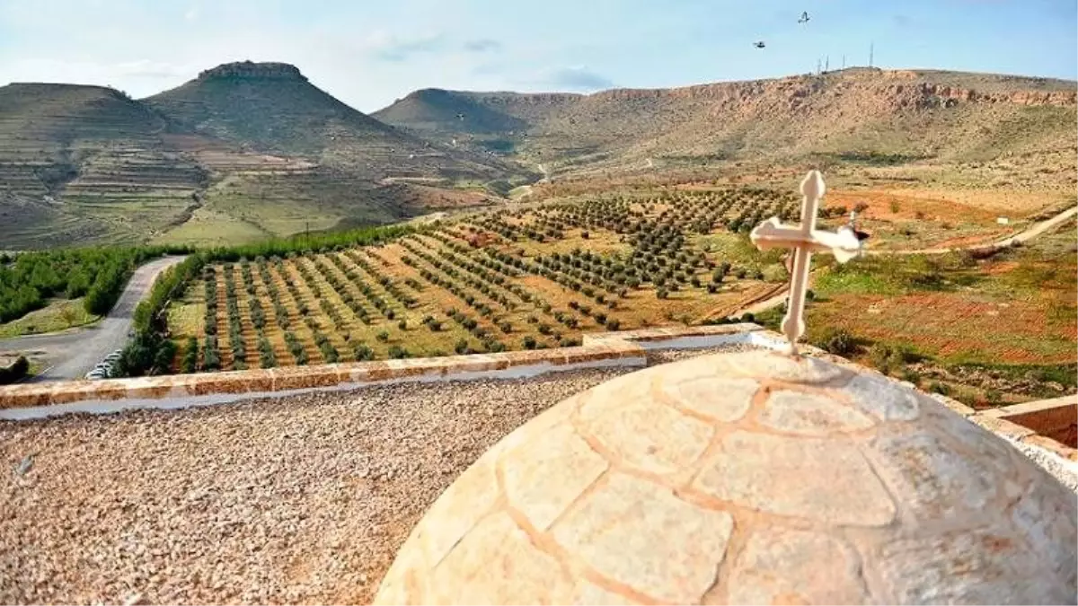 Süryanilere ait arazilerde çıkan yangında yüzlerce ağaç ve üzüm bağı kül oldu