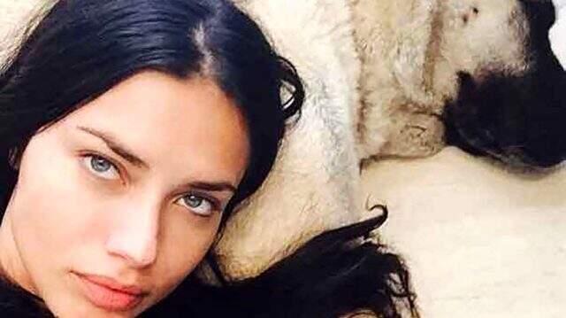 Ünlü model Adriana Lima, evi için Sivas Kangalı aldı!
