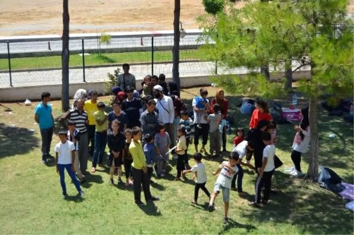 Aydın'da 56 kaçak göçmen yakalandı