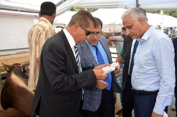 (Düzelterek yeniden) - İstanbul'da Anadolu'dan getirilen kurbanlıklar için aralıksız denetim (Düzelterek yeniden) - İstanbul'da Anadolu'dan getirilen kurbanlıklar için aralıksız denetim