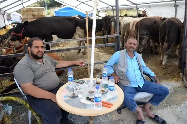 (Düzelterek yeniden) - İstanbul'da Anadolu'dan getirilen kurbanlıklar için aralıksız denetim (Düzelterek yeniden) - İstanbul'da Anadolu'dan getirilen kurbanlıklar için aralıksız denetim