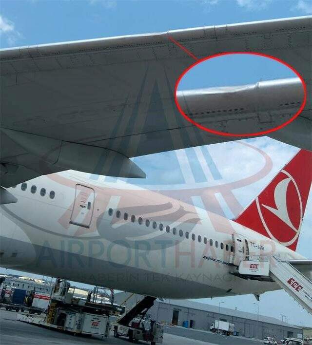İnişe hazırlanan yolcu uçağı kuş sürüsüne çarptı