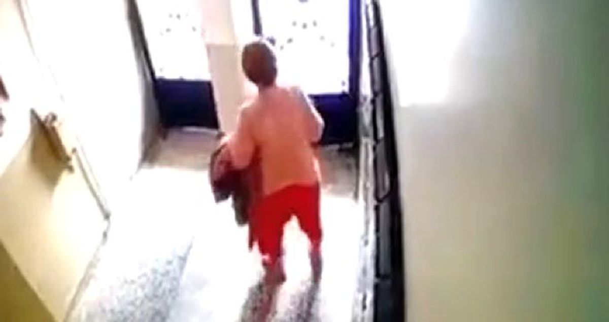 Kediyi apartman kapısına sıkıştırıp öldüren kadına tepki yağdı