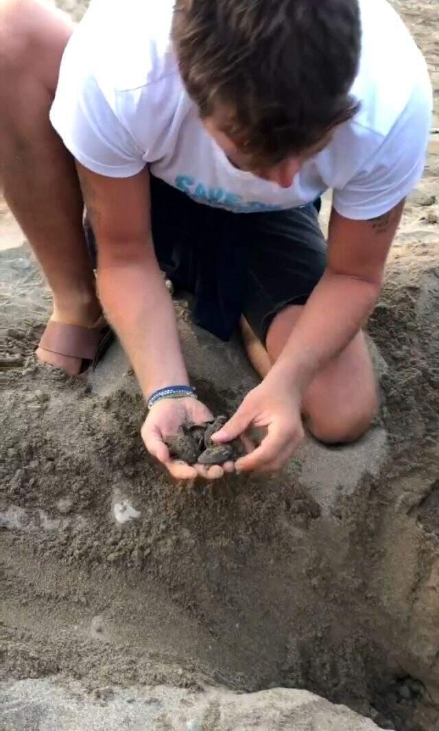 Kıvanç Tatlıtuğ ve ünlü oyuncular caretta carettaları denize kavuşturdu