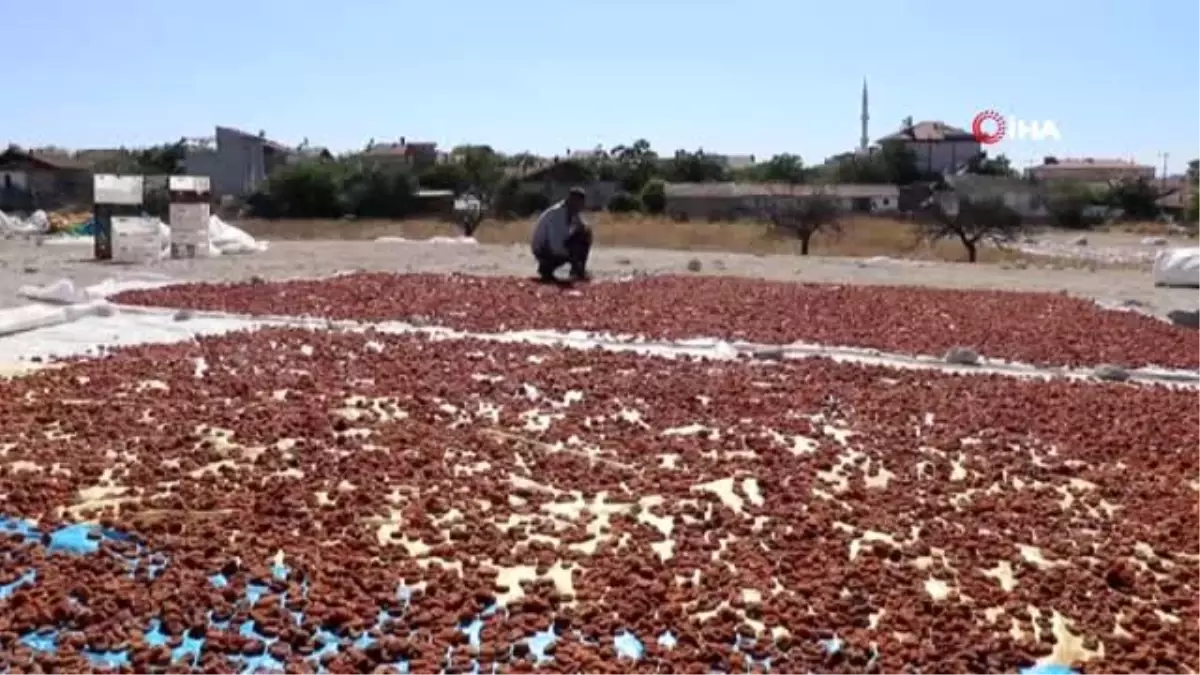 Malatya'da 'patik' mesaisi