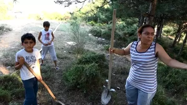 Sultangazi'de orman yangını