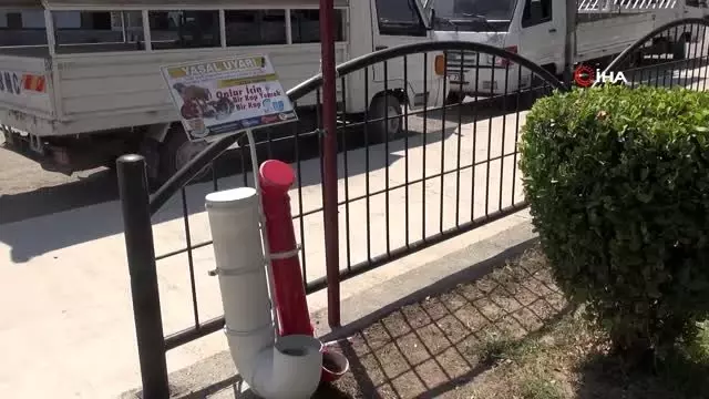 Tarsus'ta sokak hayvanlarına özel suluk ve mama kapları