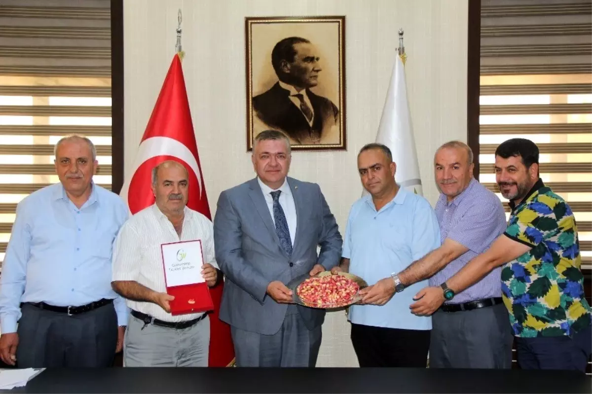 Yılın ilk antepfıstığına GTB'den altın ödülü