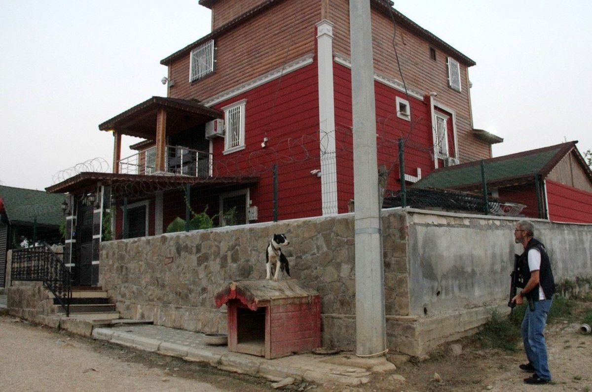 Adana'da polis, pitbullarla korunan şatoya veteriner yardımıyla girdi