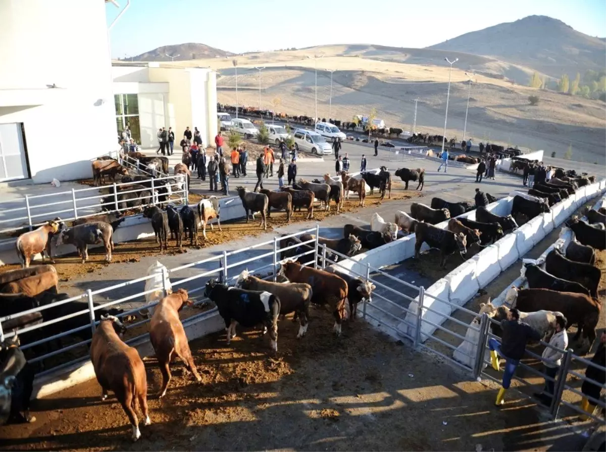 Altındağ'da kurban kesim yerleri belirlendi