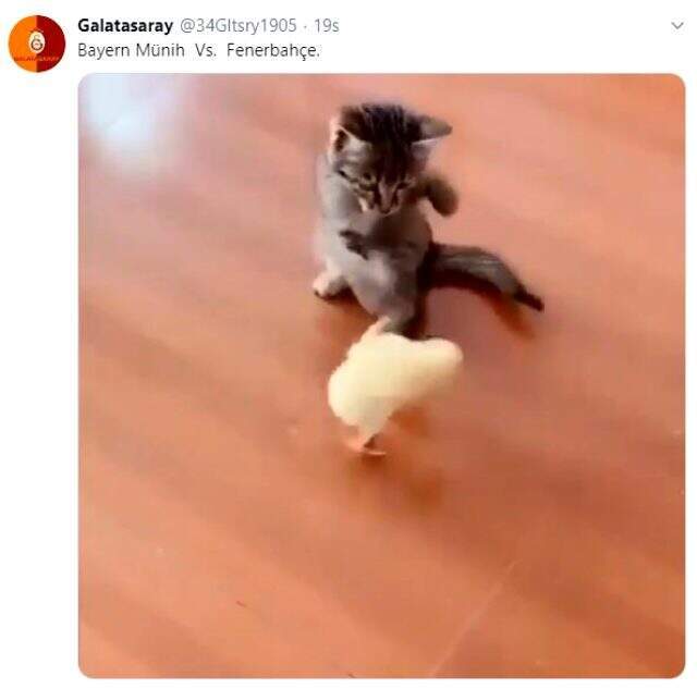 Fenerbahçe'nin farklı şekilde Bayern Münih'e yenilmesinin ardından yayınlanan komik videoya beğeni yağdı