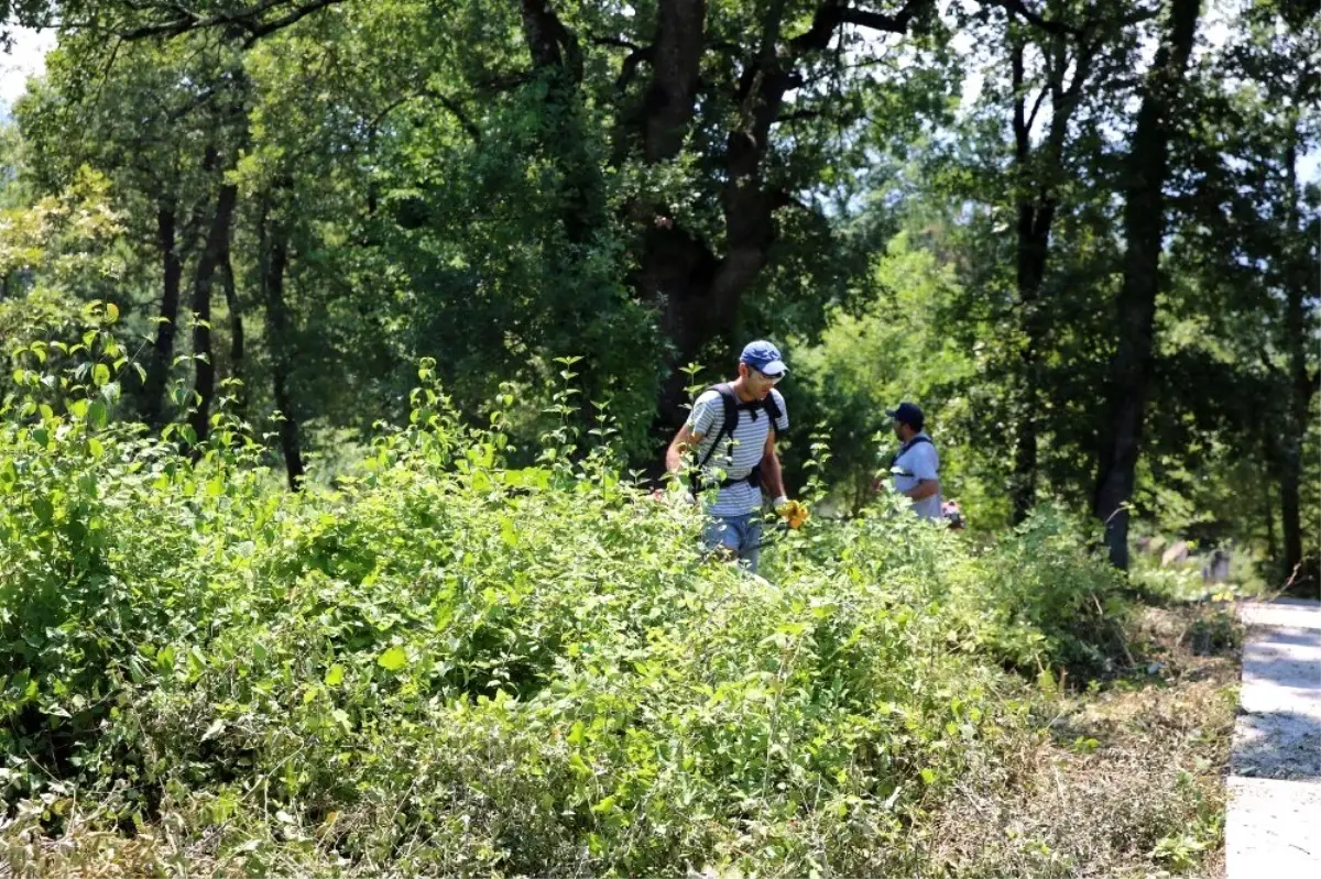 Mezarlıklarda bayram hazırlığı başladı