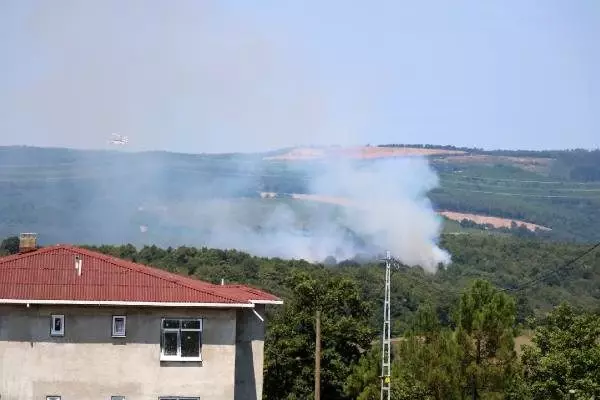 Pendik'te orman yangını
