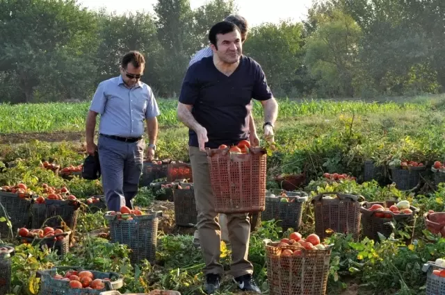 Tarlada çalışan işçilerin kaymakam şaşkınlığı Tarlada çalışan işçilerin kaymakam şaşkınlığı