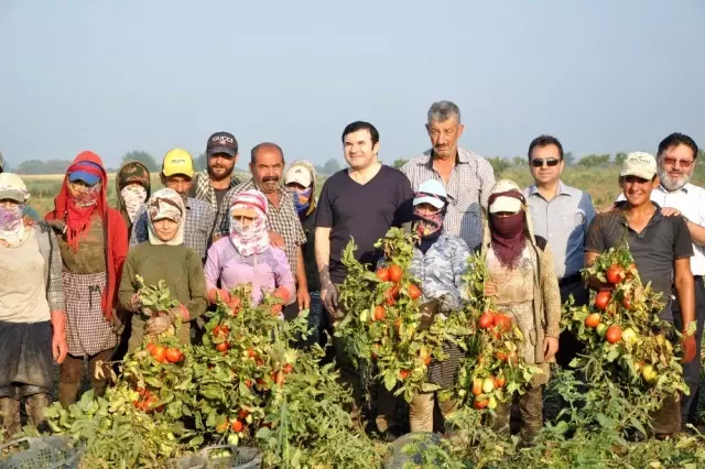 Tarlada çalışan işçilerin kaymakam şaşkınlığı Tarlada çalışan işçilerin kaymakam şaşkınlığı