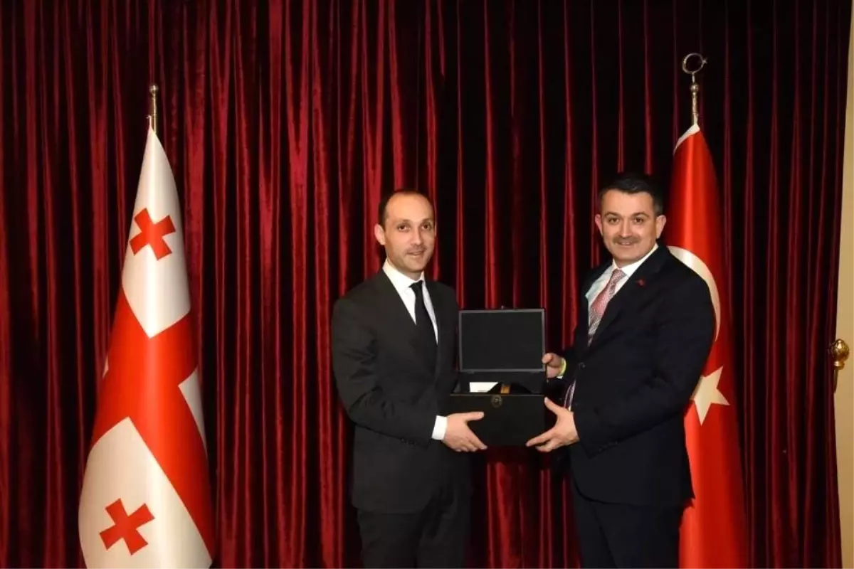 Fındık hasadı: Türkiye, Azerbaycan Gürcistan Tarım Bakanları katılıyor