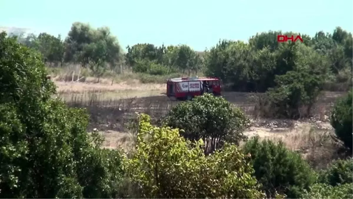 İSTANBUL-ARNAVUTKÖY'DE LEYLEKLER YANGININ ORTASINDA KALDI