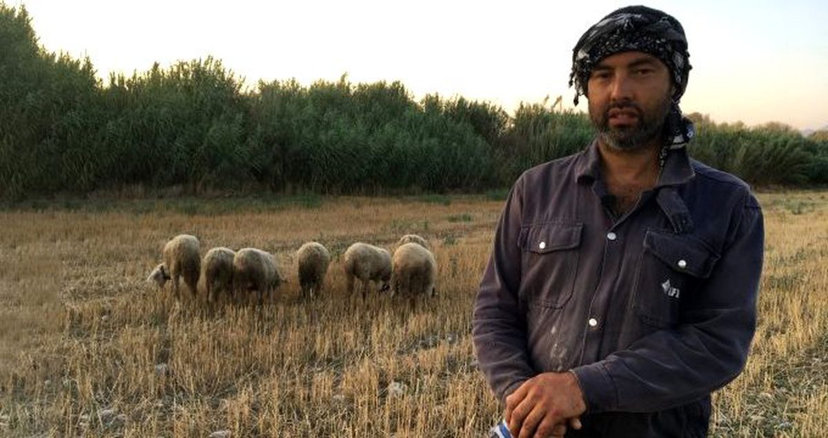 DSP Kemalpaşa Belediye Başkan Adayı siyaseti bıraktı, çobanlık yapıyor