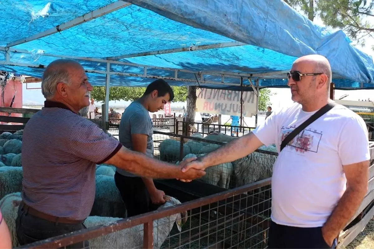 Kuşadası Belediyesi'nden kurban bayramı hazırlıkları