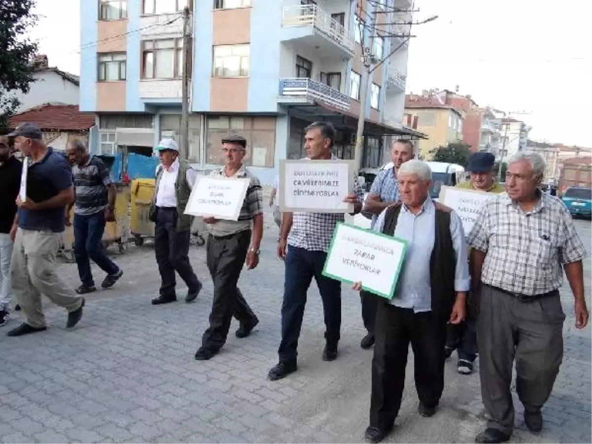 Sokak köpeklerinin toplanması için yürüdüler