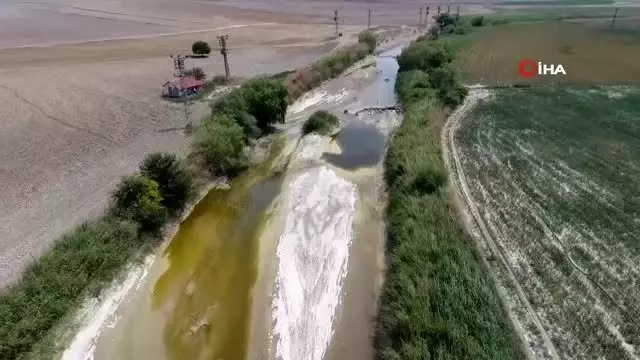 Tarlada kilosu 50 kuruştan satılıyor...Yaz soğanı hasadı havadan görüntülendi Tarlada kilosu 50 kuruştan satılıyor...Yaz soğanı hasadı havadan görüntülendi